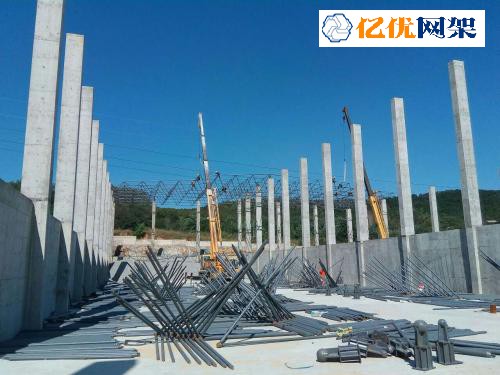 海林料棚网架设计